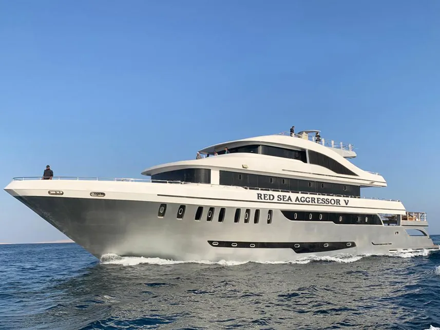 Dive More Spend Less