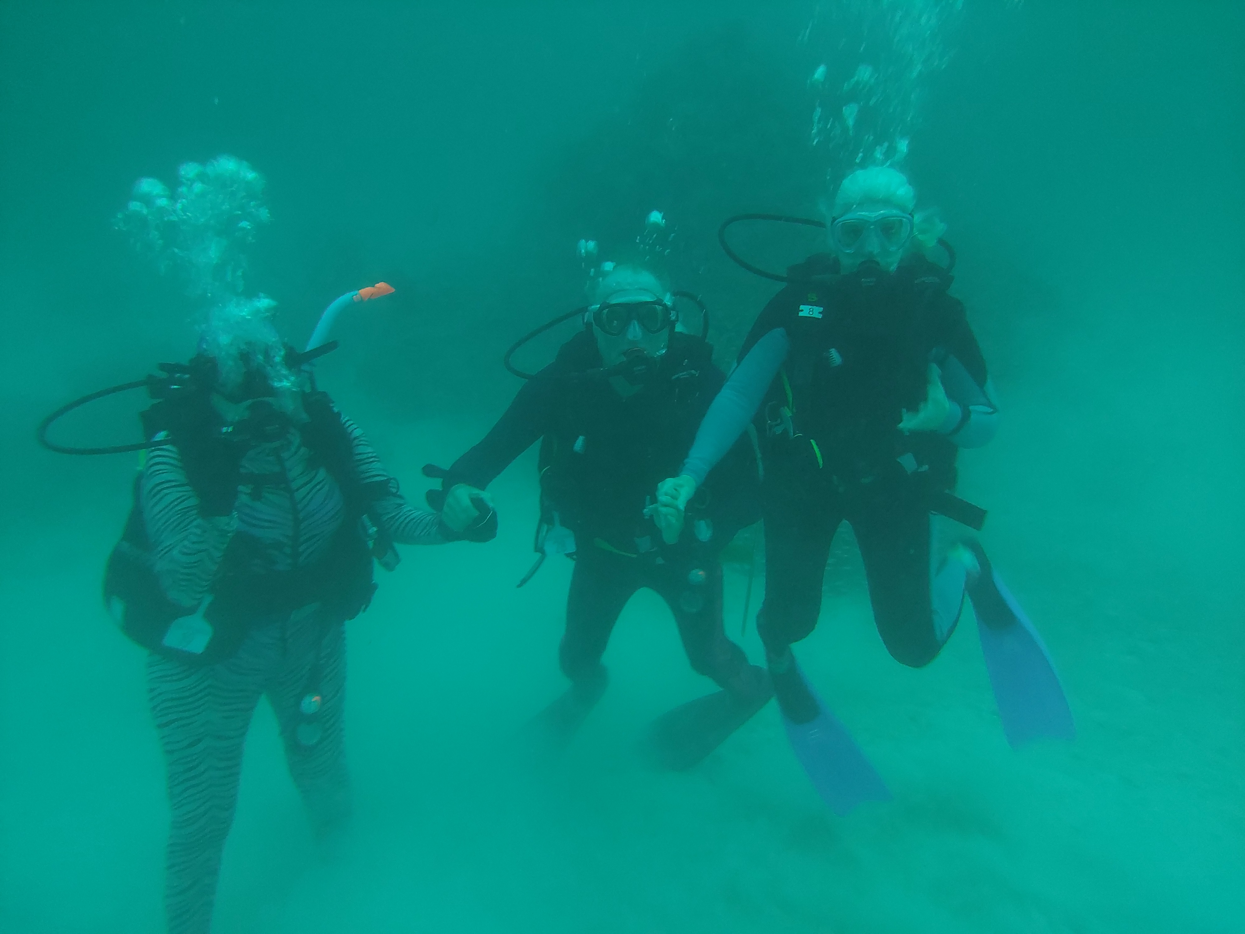 Dive More Spend Less