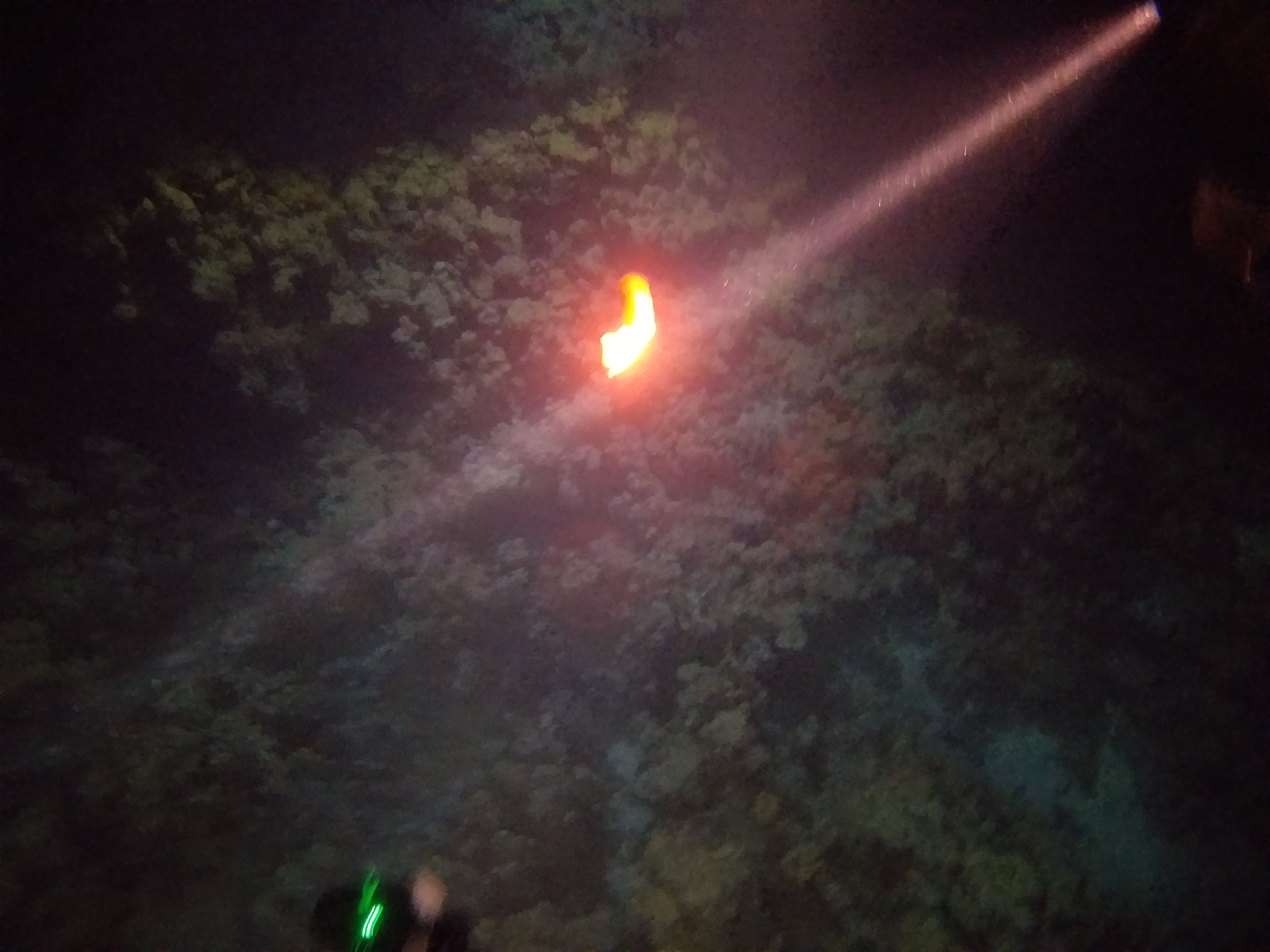 Dive More Spend Less