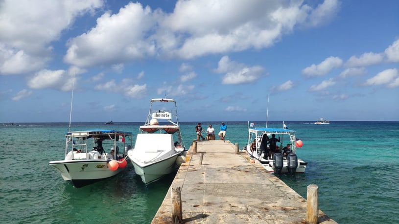 Dive More Spend Less