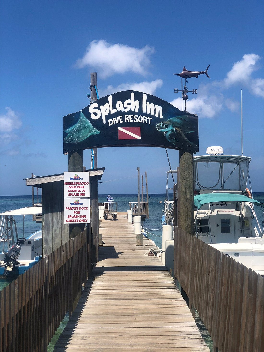 Dive More Spend Less