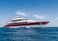 Dive More Spend Less