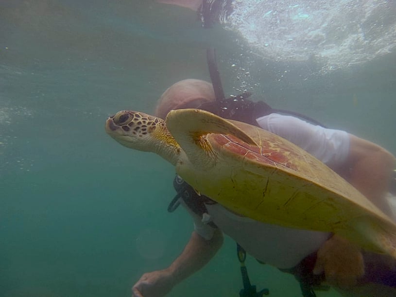 Dive More Spend Less